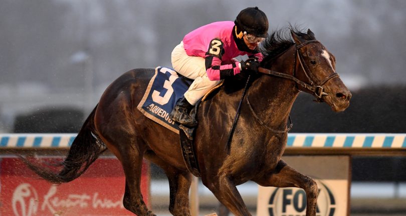 Deterministic leads 13-horse field for competitive renewal of G2 Wood Memorial