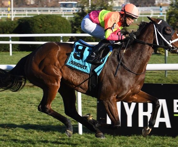 Windylea Farm reaching new heights on the NYRA circuit