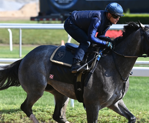 G3 Peter Pan-winner Arcangelo logs final breeze in prep for G1 Belmont Stakes