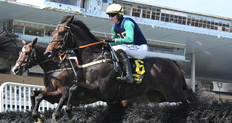 Freddy Flintshire stalks and pounces to victory in G1 Lonesome Glory