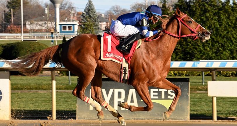 Golden Rocket blasts up rail to take $125K NYSSS Staten Island