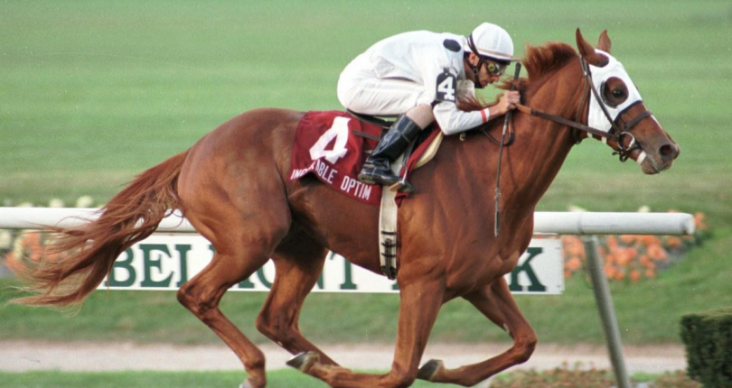 1998 NY Horse of the Year Incurable Optimist leaves behind strong legacy in Argentina