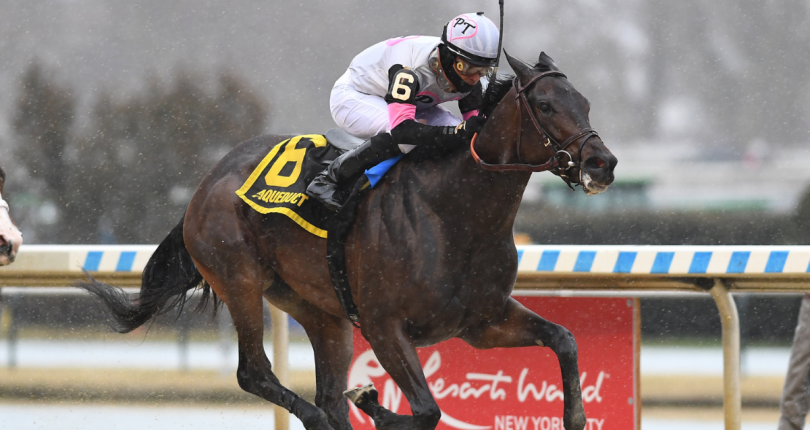 Jody’s Pride tries turf in G3 Pebbles