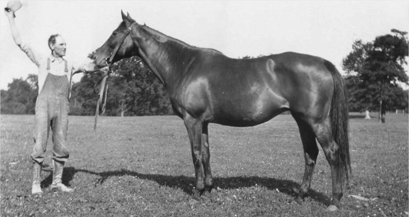 A filly winning the Travers: It’s been a while