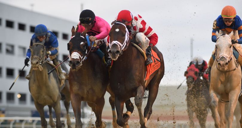 Mind Control goes out in style in G1 Cigar Mile Handicap presented by NYRA Bets
