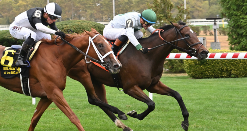 Moonage Daydream doubles up on New York-bred stakes in $125K John Hettinger