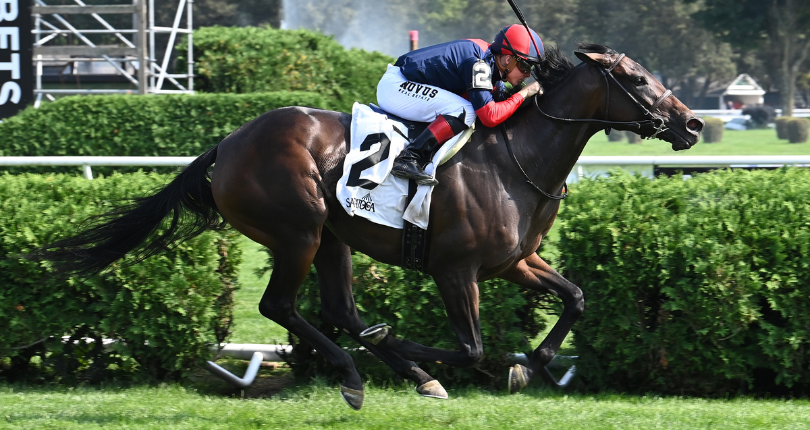 New Ginya seeks second straight stakes conquest in $125K John Hettinger