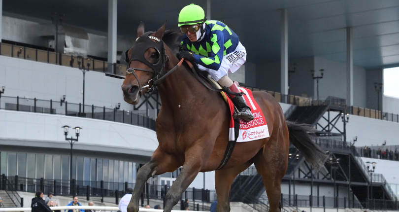 G2 Wood Memorial-winner Resilience under consideration for the G1 Belmont Stakes