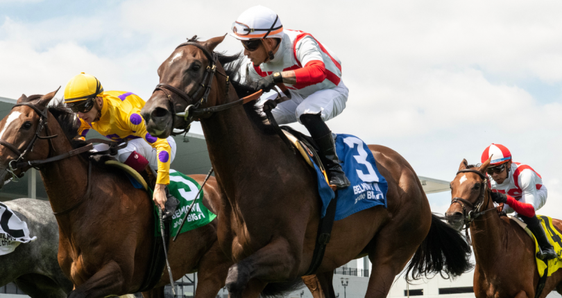 Royalty Interest strong from gate-to-wire in Grade 3 Sheepshead Bay