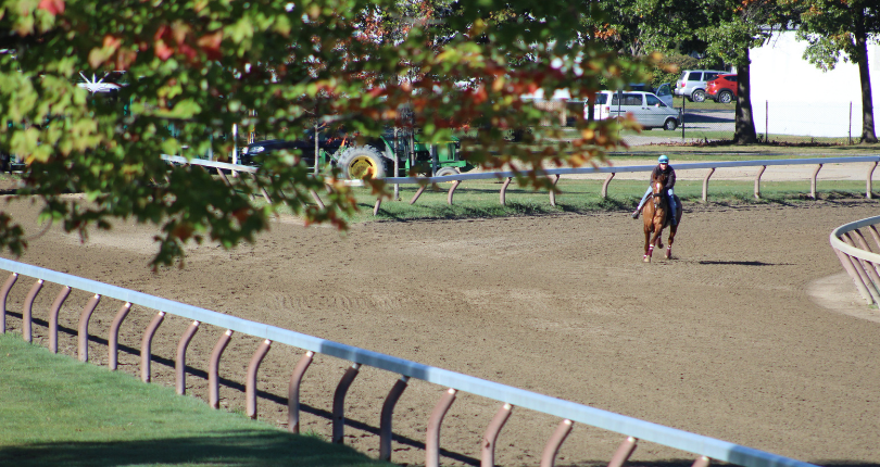 ​NYRA conditioners enjoying success training at Saratoga Race Course into the fall