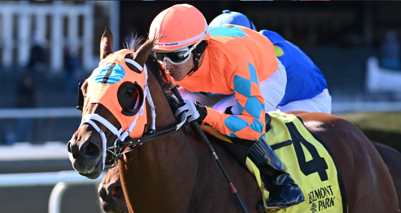 ​Somelikeithotbrown hangs on to win Mohawk