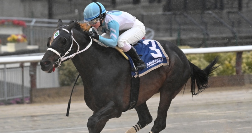 Super Chow splashes to victory in G3 Tom Fool Handicap