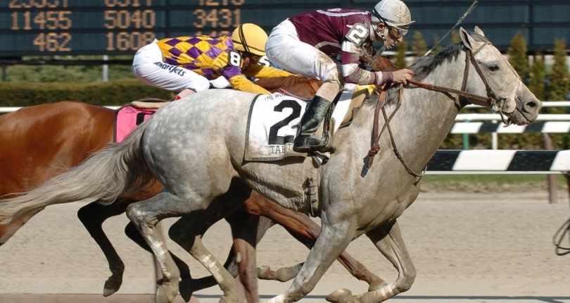 Remembering the 2004 Wood Memorial: Before Tapit was Tapit