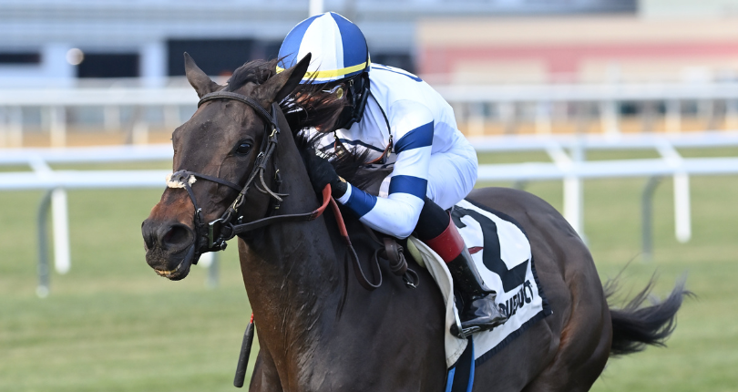 ​Temple City Terror much the best in G3 Long Island