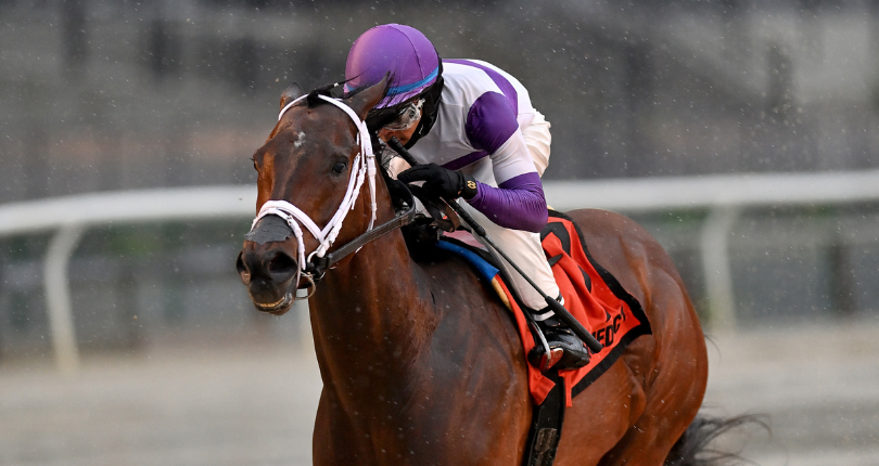 Today’s Flavor seeks more stakes success in NYSSS Thunder Rumble