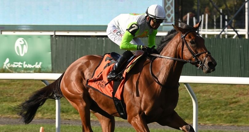 Too Sexy swoops to victory in $150K Floral Park