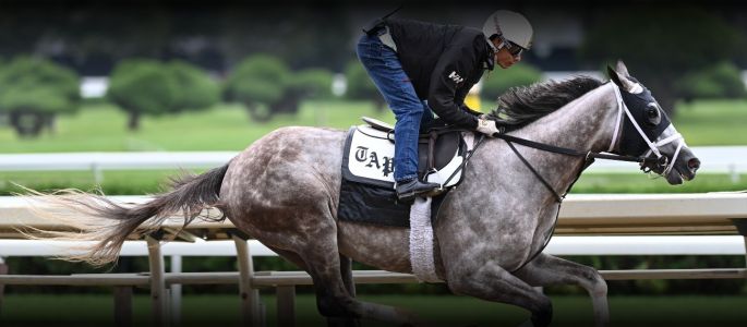image of Tapit Trice