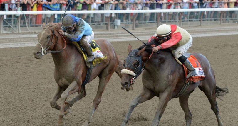 2014 Travers hero V.E. Day thriving in third career as ambassador at Old Friends