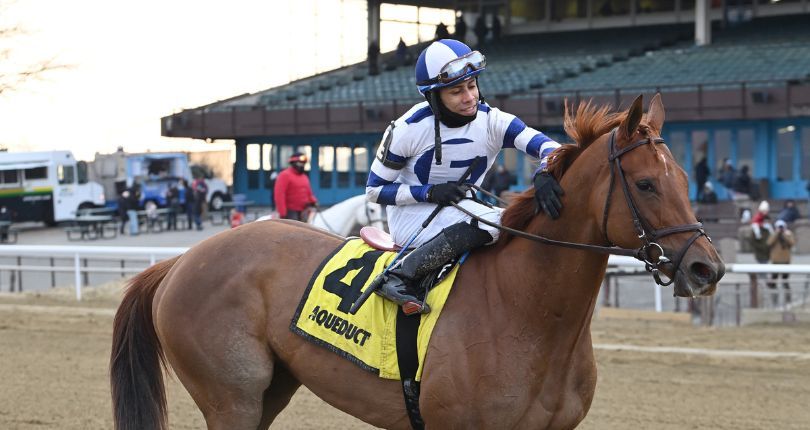 G1 Kentucky Oaks contender Venti Valentine ‘beyond a dream’ for New York-based connections