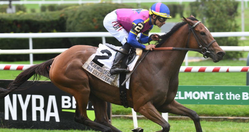 War Like Goddess in search of G1 Joe Hirsch Turf Classic threepeat