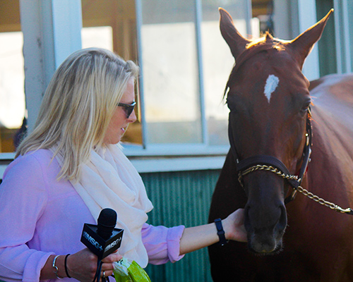 Belmont Park Live