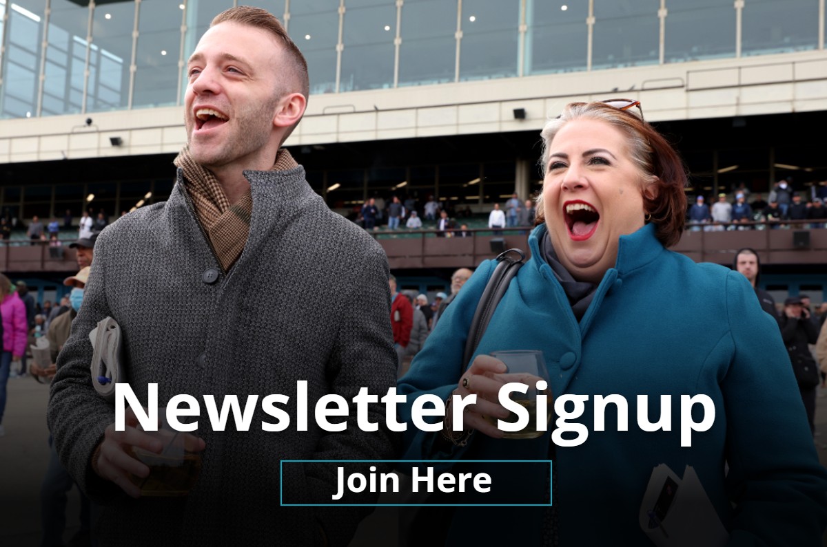Newsletter