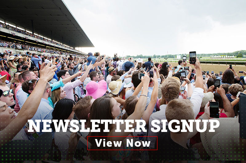 Newsletter Signup