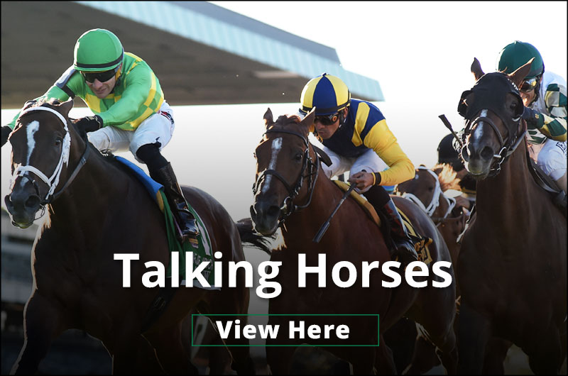 Talking Horses
